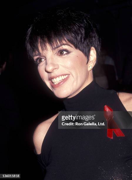 Hvilken en skrige Træ 48 Liza Minnelli At Film Premiere Of Stepping Out Photos and Premium High  Res Pictures - Getty Images
