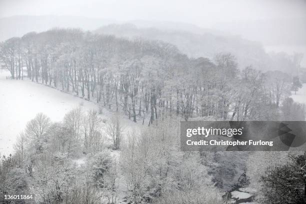 General view of snow-covered trees on December 16, 2011 in Buxton, United Kingdom. Snow has fallen in many parts of the country and the...