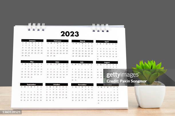 calendar desk 2023, calendar planning and houseplant on wooden table with dark gray background, clipping path. - calendar bildbanksfoton och bilder