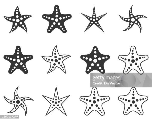 Ilustraciones de Estrella De Mar - Getty Images Ilustraciones de Estrella De Mar - Getty Images