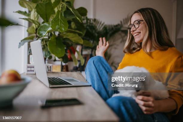 woman with dog at home - dog waving stock pictures, royalty-free photos & images