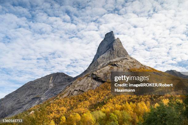 stetind, autumn landscape, norwegian national mountain, tysfjord, ofoten, nordland, norway - stetind stock pictures, royalty-free photos & images