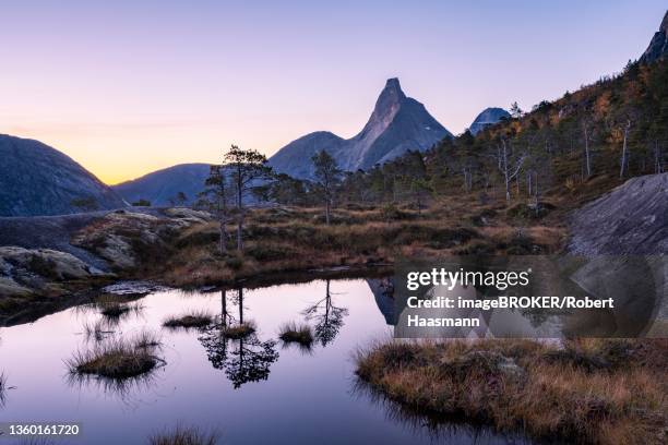 stetind reflected in small pond, morning atmosphere, norwegian national mountain, tysfjord, ofoten, nordland, norway - stetind stock pictures, royalty-free photos & images