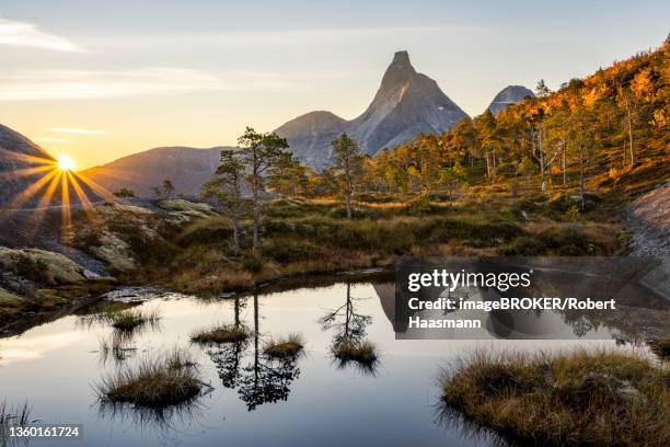 stetind reflected in small pond, sunrise, norwegian national mountain, tysfjord, ofoten, nordland, norway - stetind stock pictures, royalty-free photos & images