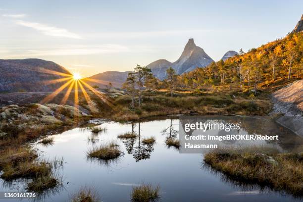 stetind reflected in small pond, sunrise, norwegian national mountain, tysfjord, ofoten, nordland, norway - stetind stock pictures, royalty-free photos & images