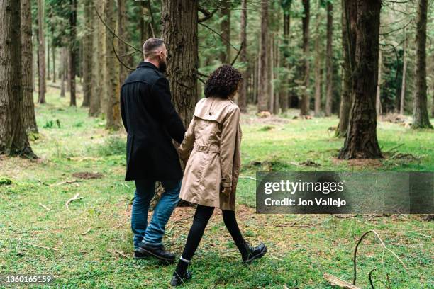 a couple walking through the forest holding hands. - alava stock-fotos und bilder