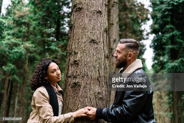 a couple holding hands and looking at each other with a tree between them in a forest. - reconciliation stock-fotos und bilder