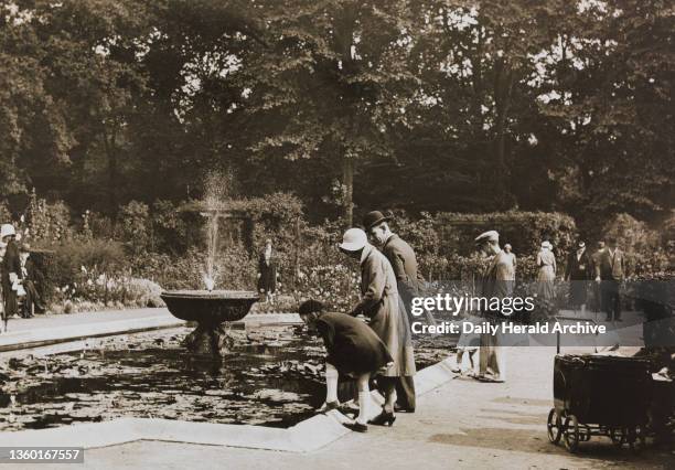 Pretty Scene at the Lily Pond at Battersea Park, circa 1940s.