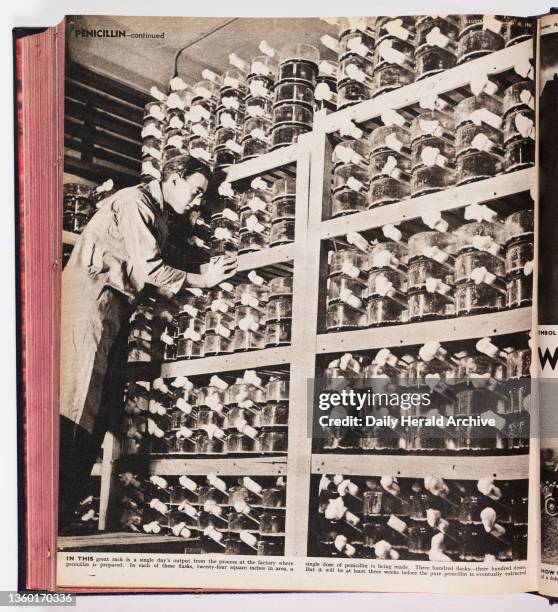 Producing penicillin, 1943. ‘In this great rack is a single day's output from the process at the factory where penicillin is prepared. In each of...