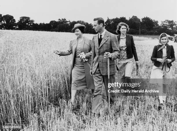 Royal family at harvest time, August 1943. Her Majesty the Queen leads the family tour of inspection through Sandringham Park which has been ploughed...