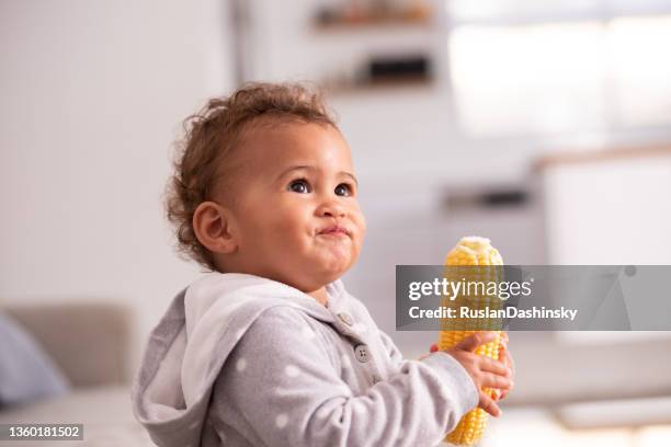 bébé mangeant de l’épi décortiqué de maïs sucré. - corn cob photos et images de collection