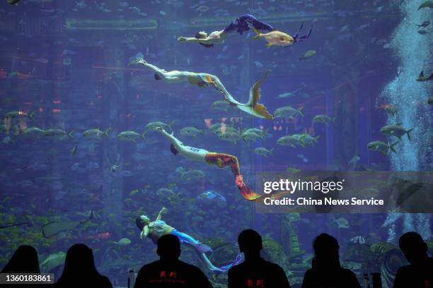 Divers wearing mermaid costumes take part in the first Chinese Mermaid Performance Contest at Atlantis resort on December 21, 2021 in Sanya, Hainan...