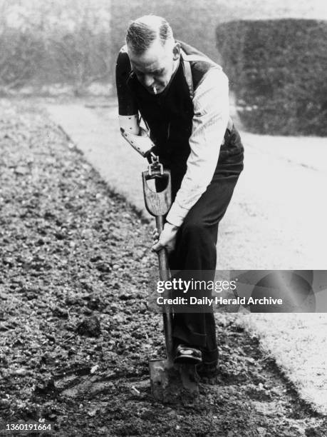 World War I pensioner digging a vegetable patch with a prosthetic arm at the Queen Mary's Convalescent Auxiliary Hospital in Roehampton, London on 6...