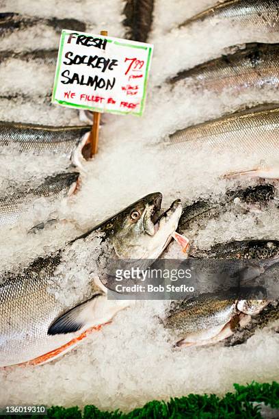 fish for sale in market - pike place market stock pictures, royalty-free photos & images