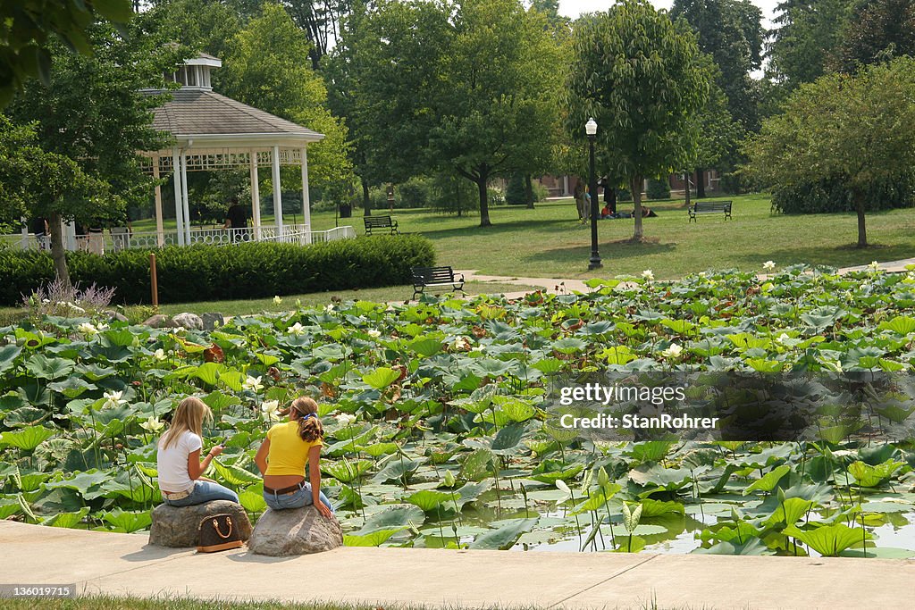 Gazebo and Lily Pond. Columbus, Ohio.