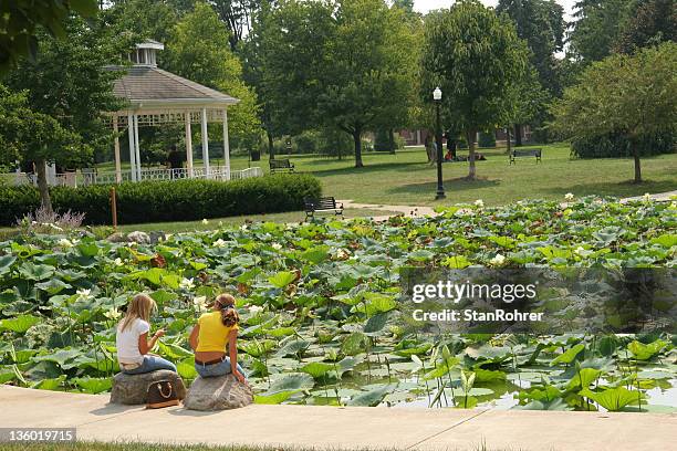 gazebo and lily pond. columbus, ohio. - columbus ohio stock pictures, royalty-free photos & images