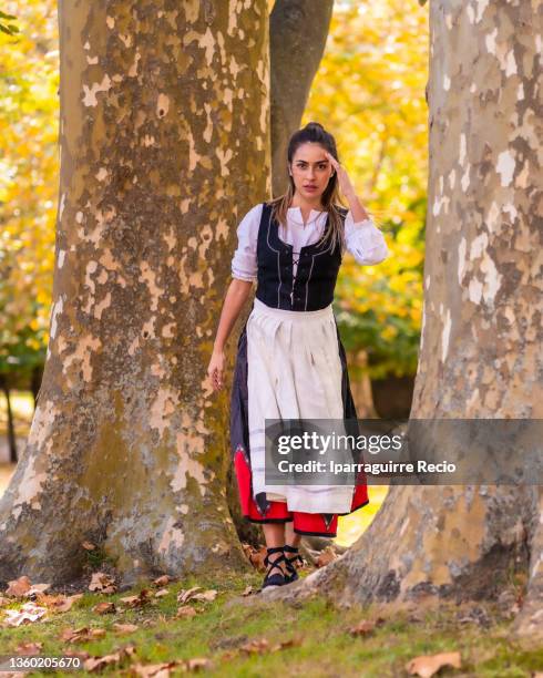 Basque Oak Tree 104 Silk Oak Tree Stock Photos, High-Res Pictures, and Images - Getty ...