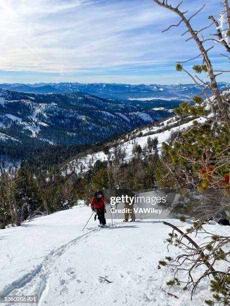 snowmobiling and skiing in the mountains above lake tahoe - nevada winter stock pictures, royalty-free photos & images