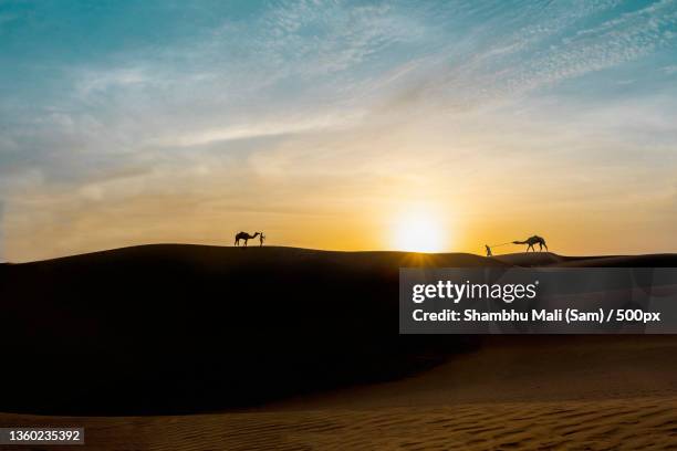 scenic view of desert against sky during sunset - sam sand dunes stock pictures, royalty-free photos & images