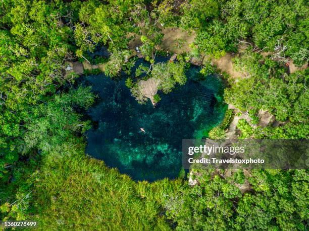 woman swimming and floating in harmony with nature in heart-shaped zenote in the jungle in north america mexico yucatán. - yucatan stock pictures, royalty-free photos & images