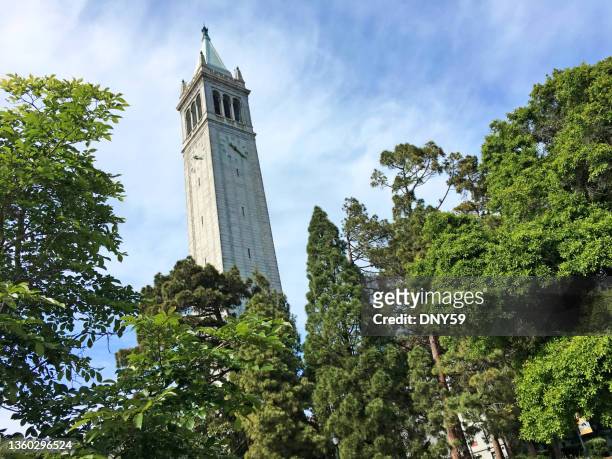 the campanile at the university of california, berkeley - berkeley california stock pictures, royalty-free photos & images