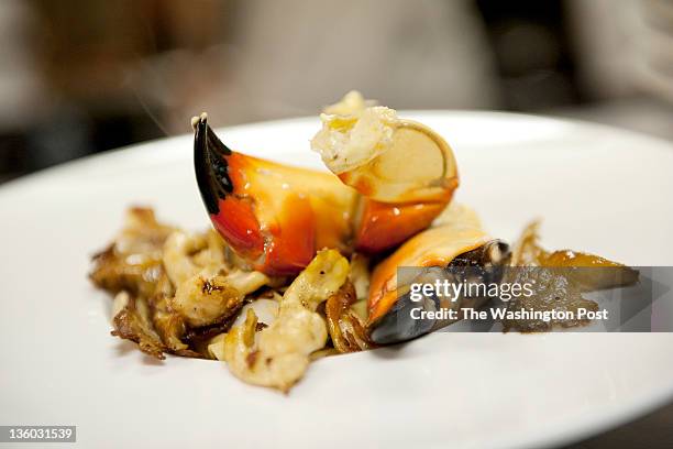 Fruit of the Sea Tagliatelle as prepared at Kevin Willmann's restaurant Farmhaus on Saturday, November 19, 2011 in St. Louis, Missouri.