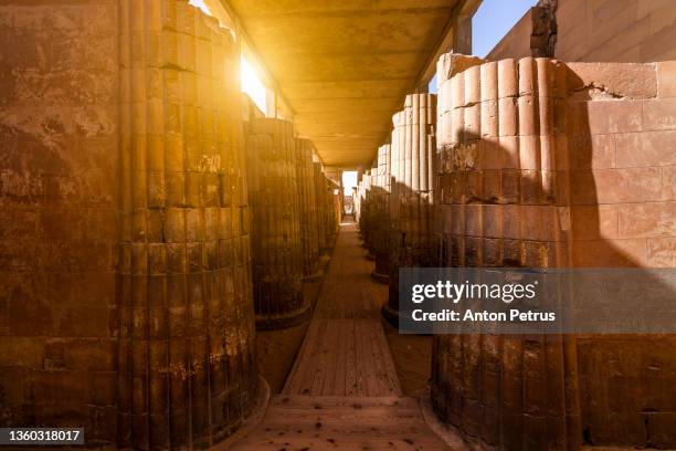 ribbed columns of the entrance colonnade at the step pyramid complex of djoser. egypt - saqqara foto e immagini stock