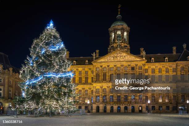 the christmas tree in dam square of amsterdam, holland - palácio real de amsterdã - fotografias e filmes do acervo