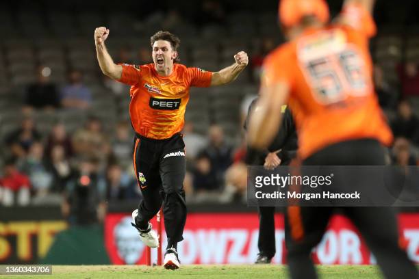 Mitchell Marsh of the Scorchers celebrates dismissing Nic Maddinson of the Renegades during the Men's Big Bash League match between the Melbourne...