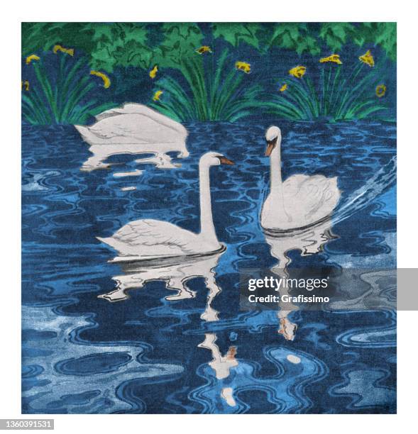 weißer schwan schwimmt im jugendstilsee 1896 - schwan stock-grafiken, -clipart, -cartoons und -symbole
