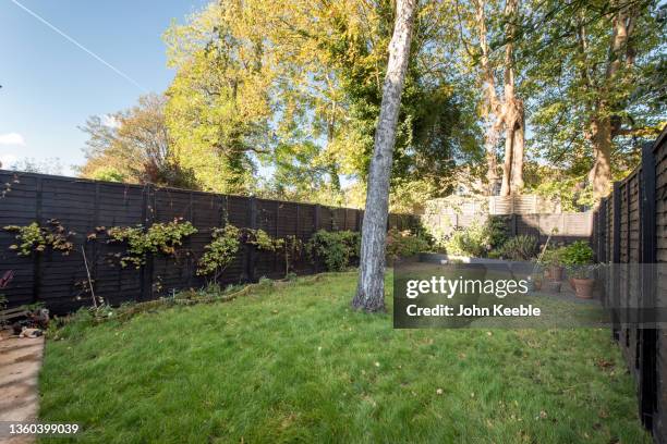 property interior - back garden stock pictures, royalty-free photos & images