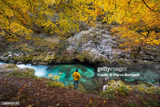 man standing beside a turquoise river gorge in autumn - slovenia hiking stock pictures, royalty-free photos & images