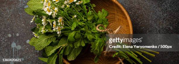 fresh flowers and herbs top view for natural herbal medicine and - camomille bildbanksfoton och bilder