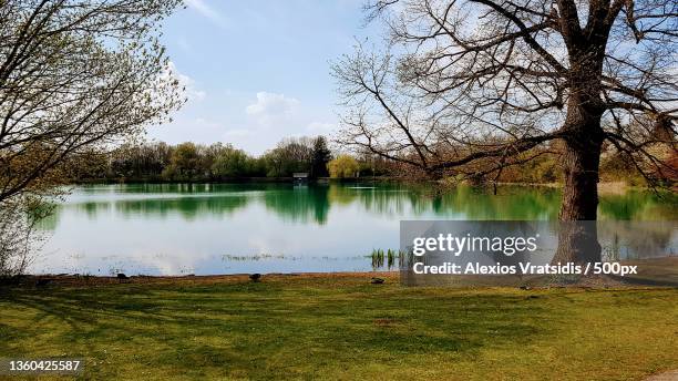 feldmochinger see,scenic view of lake against sky,germany - lakeshore stockfoto's en -beelden