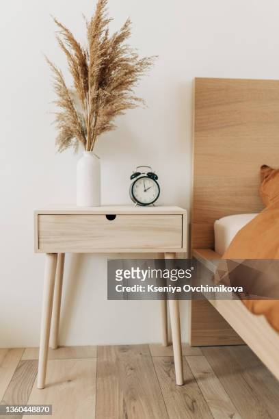 room interior with bedside table, ficus plant and cat - night table stock pictures, royalty-free photos & images