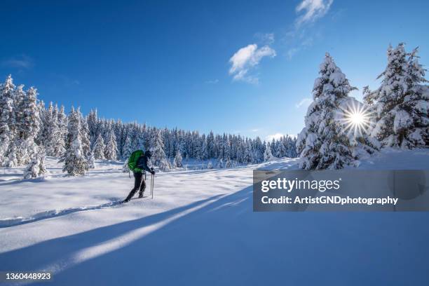 wanderer im tiefschnee. - schneeschuh stock-fotos und bilder