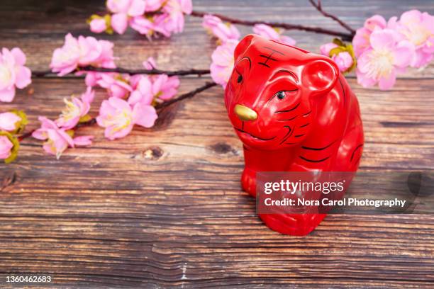 2022 year of tiger - chinesisches-sternzeichen stock-fotos und bilder