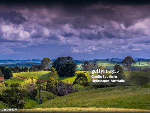 Dumbalk 102 Dumbalk Stock Photos, High-Res Pictures, and Images - Getty Images