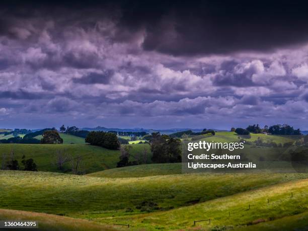 Dumbalk 102 Dumbalk Stock Photos, High-Res Pictures, and Images - Getty Images