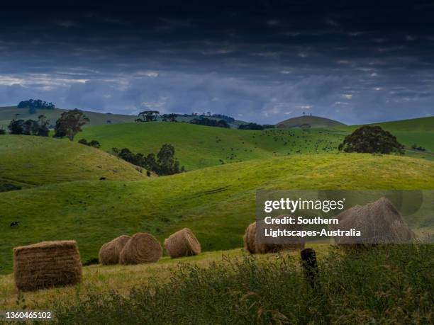 Dumbalk 102 Dumbalk Victoria Stock Photos, High-Res Pictures, and Images ...