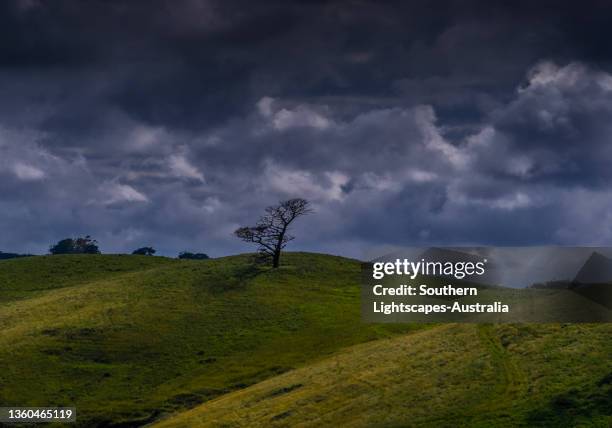 Dumbalk 102 Dumbalk Victoria Stock Photos, High-Res Pictures, and Images ...