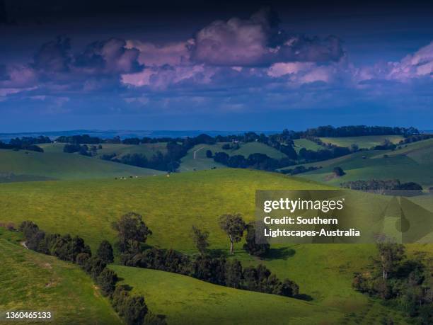 Dumbalk 102 Dumbalk Victoria Stock Photos, High-Res Pictures, and Images ...