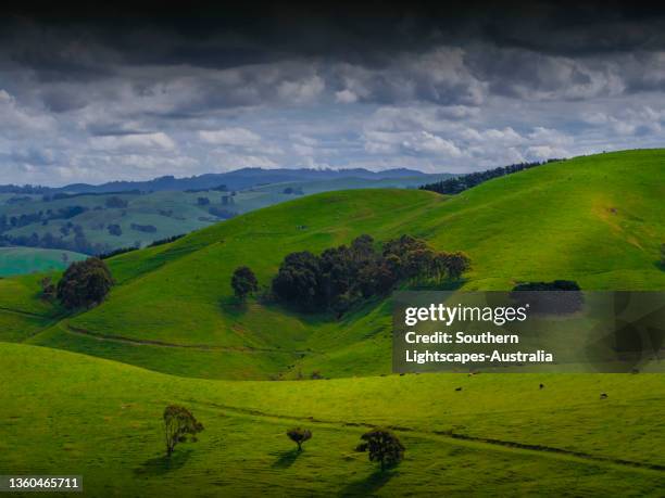 Dumbalk 102 Dumbalk Victoria Stock Photos, High-Res Pictures, and Images ...