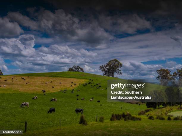Dumbalk 102 Dumbalk Victoria Stock Photos, High-Res Pictures, and Images ...