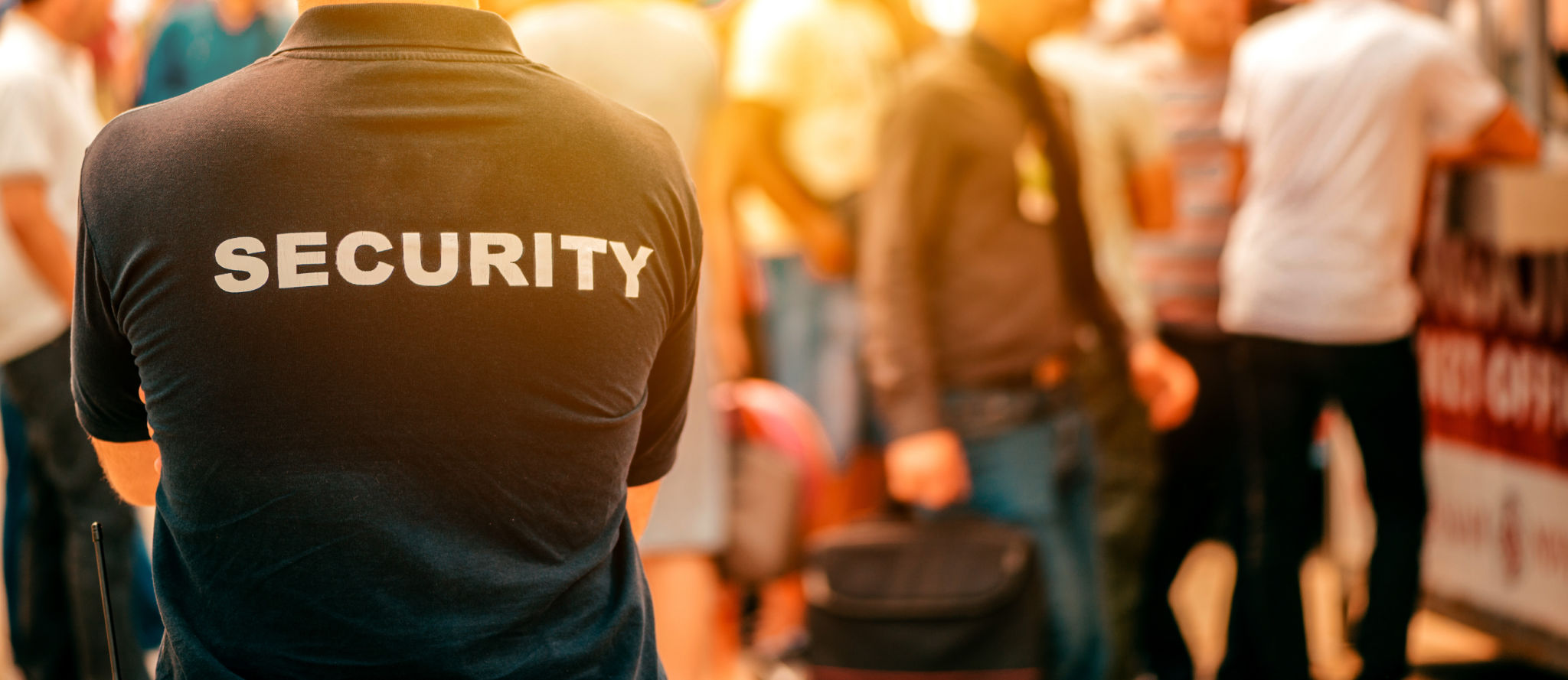 festival crowd security