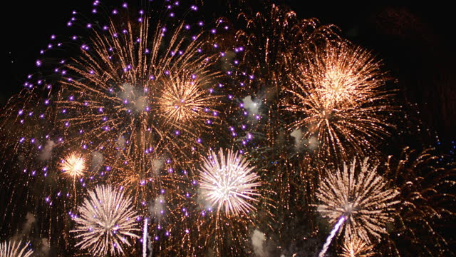 Fireworks  celebration  In Night Sky