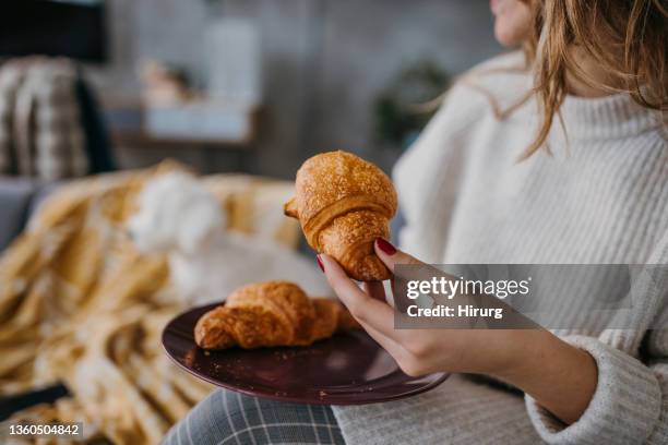 breakfast with puppy - eating croissant stock pictures, royalty-free photos & images