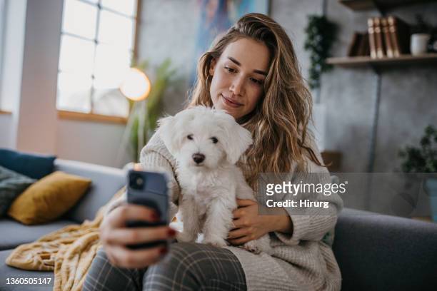 selfie with puppy - animal selfies 個照片及圖片檔