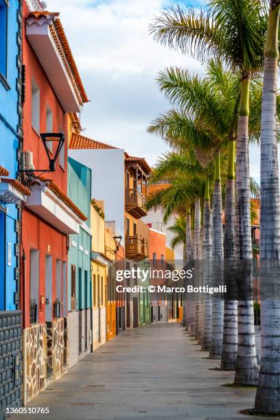 puerto de la cruz, tenerife, canary islands - teneriffa bildbanksfoton och bilder
