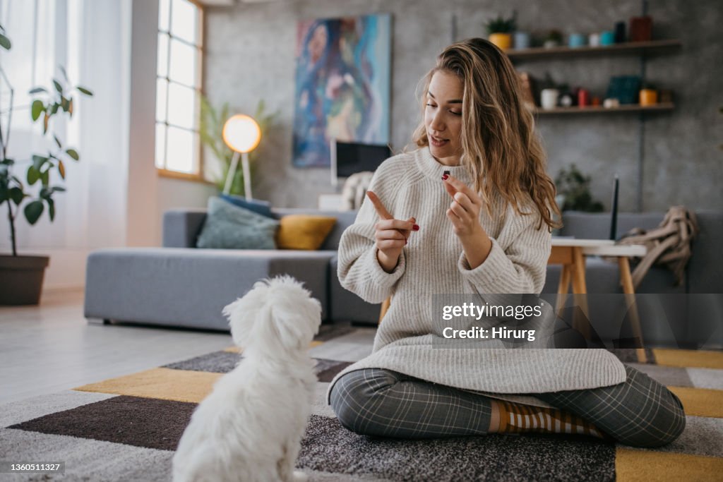 Woman training her dog obedience
